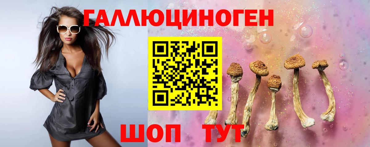 Белореченск  Псилоцибиновые грибы прущие грибы  Вход с VPN  Псилоцибиновые грибы прущие грибы 